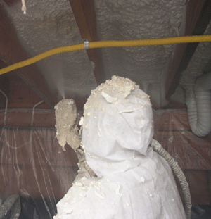 Erie PA crawl space insulation